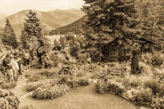 19062021-Flore-Alpe-30246