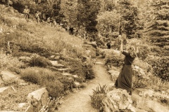 19062021-Flore-Alpe-30289